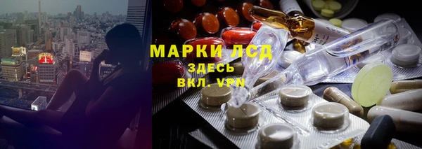 прущий лед Алзамай