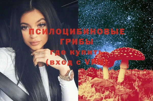 прущий лед Алзамай