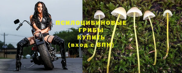 стафф Абаза