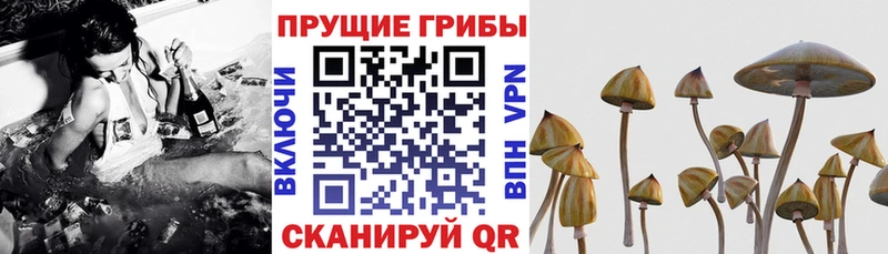 цена наркотик  Луга  mega tor  Галлюциногенные грибы мухоморы 